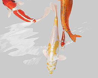 分级信息显示《恶霸鲁尼》或将登陆现代主机平台